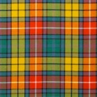 Reiver Light Weight Tartan Fabric - Buchanan Ancient